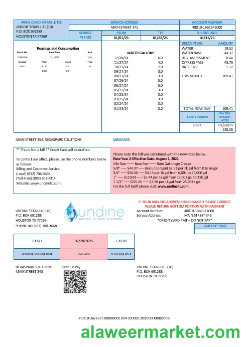 USA Texas Undine water is our element water business utility bill Word and PDF formats